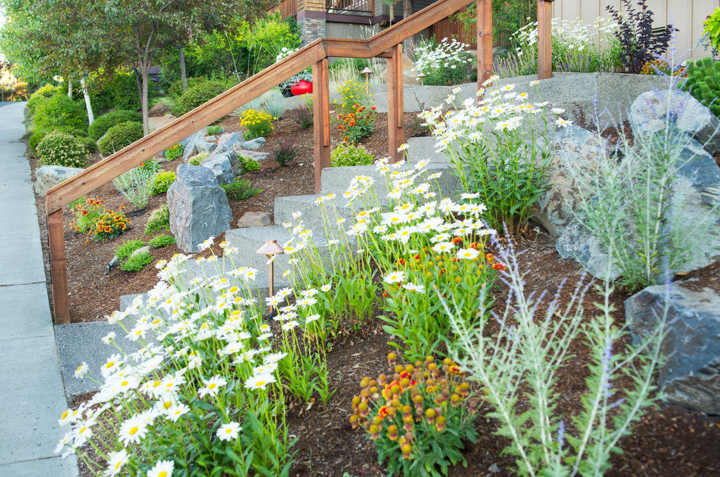 Awbrey Butte Xeriscape
