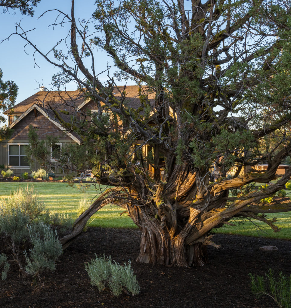East Bend — backyard aerial view showing full property scope