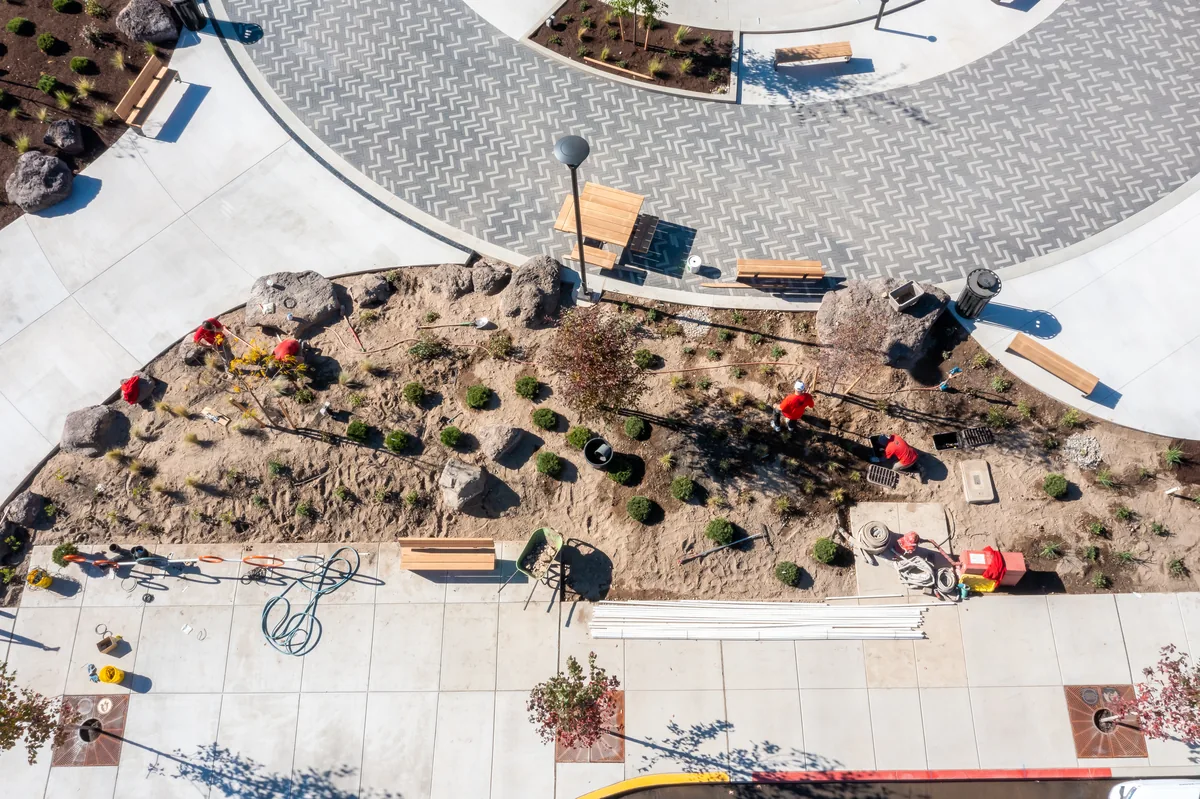 Newport Avenue crew planting at Discovery West Plaza
