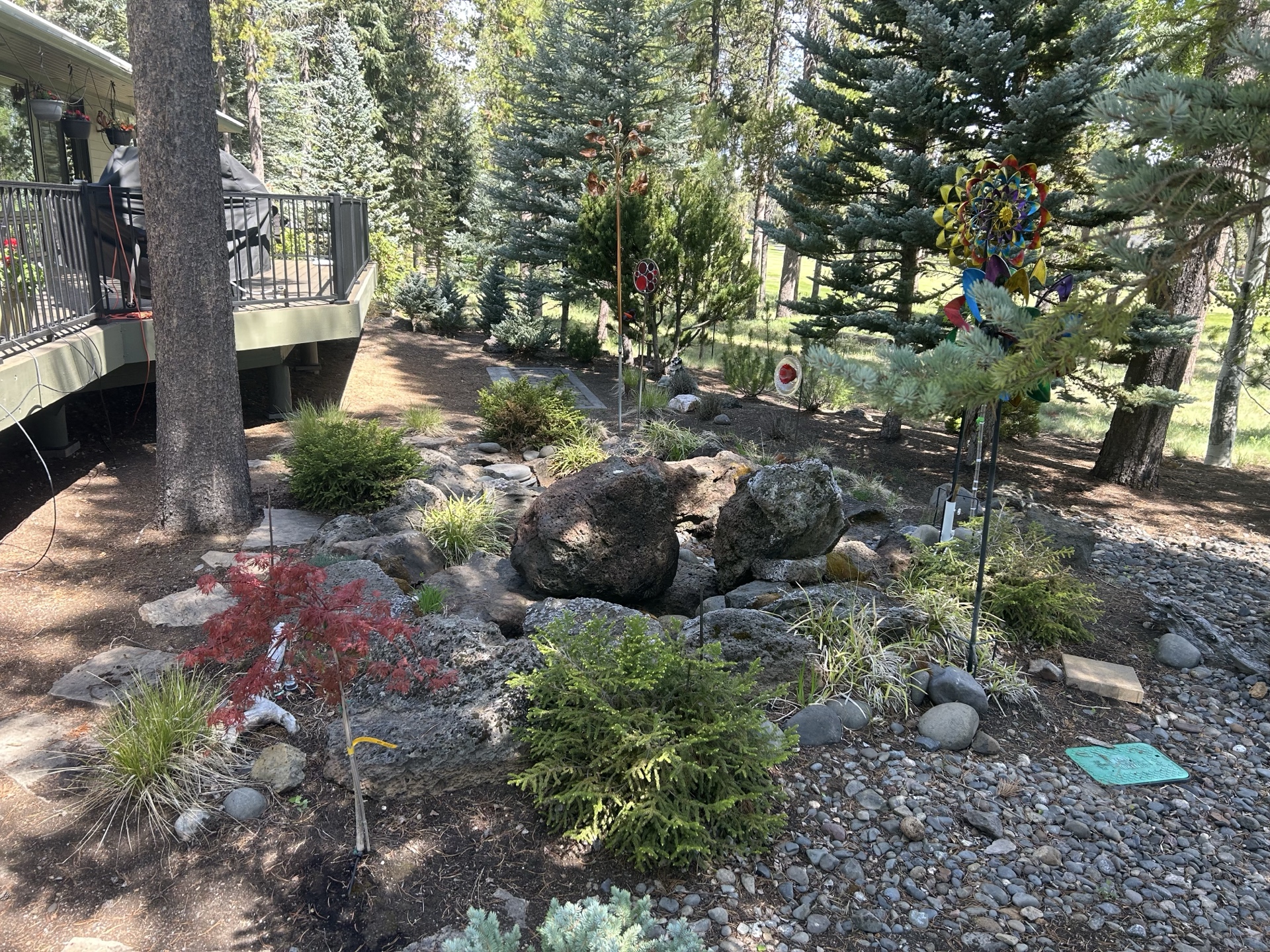 Rural Tumalo Oregon landscaping with native plants and large property design