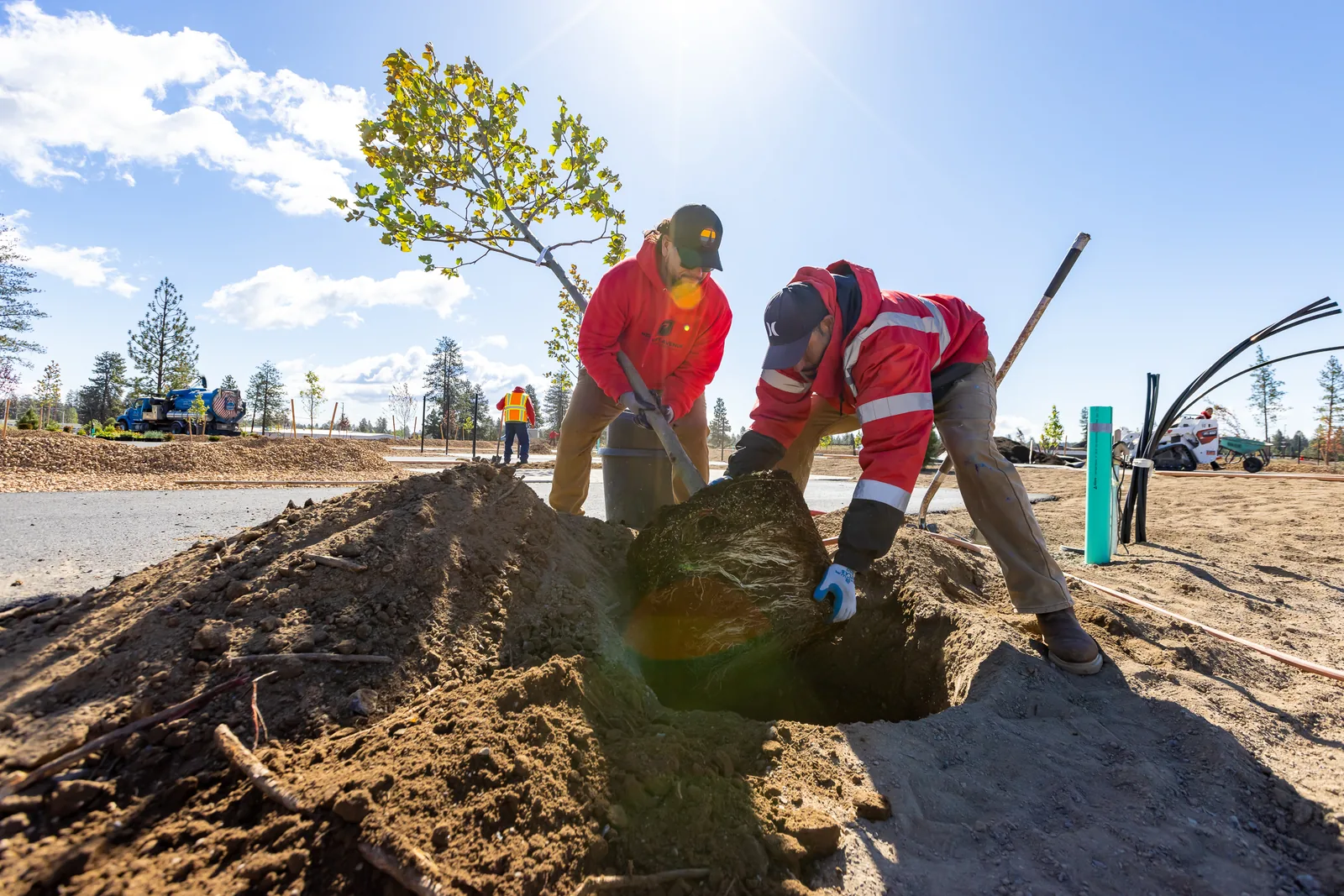 Newport Avenue commercial landscape installation crew