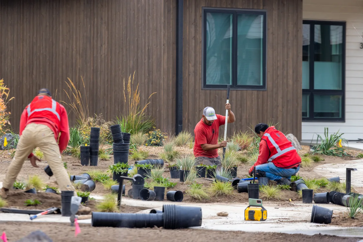 Newport Avenue crew installing plantings at The Nines commercial project