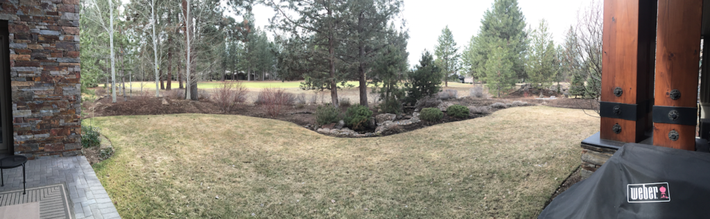 Broken Top Xeriscape — photo 3