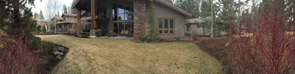 Broken Top Xeriscape — photo 4