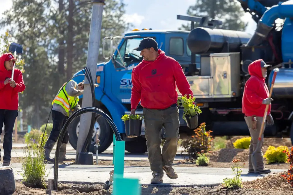 Newport Avenue crew planting trees at commercial RV park project