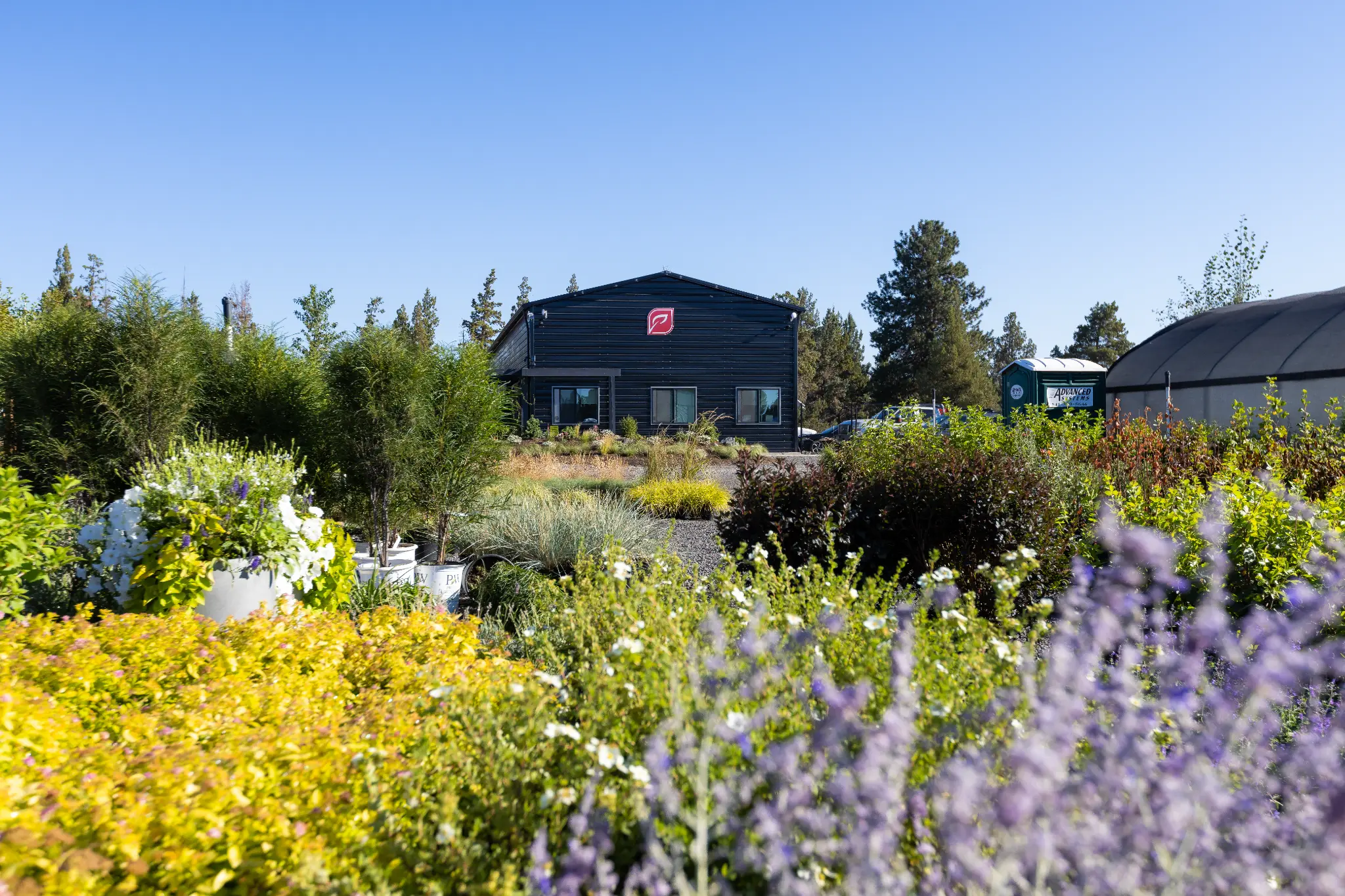 On-site plant nursery with colorful blooms at Newport Avenue Landscaping