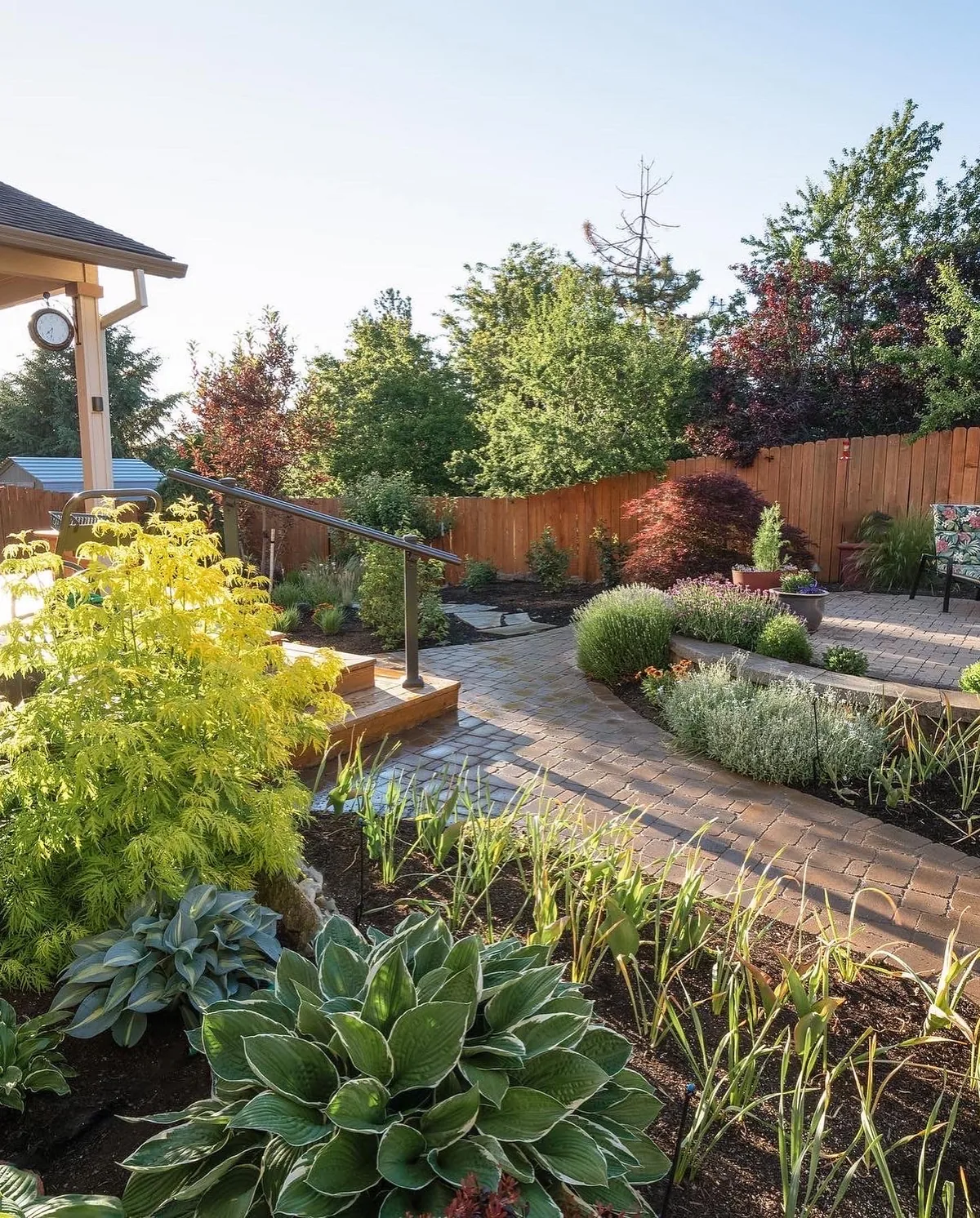 Backyard after — lush paver path with Japanese maple and hostas