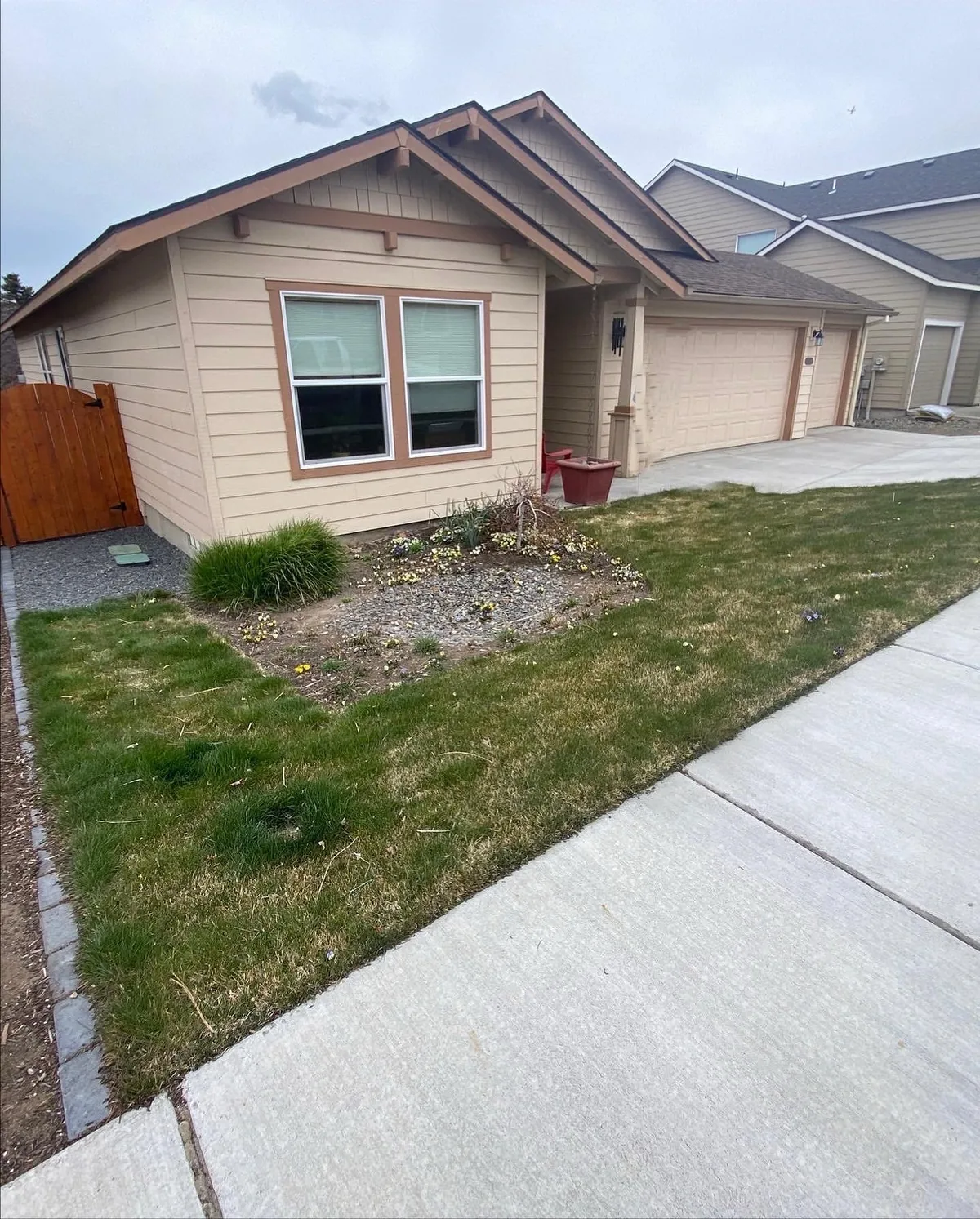 Backyard after — lavender and perennial beds