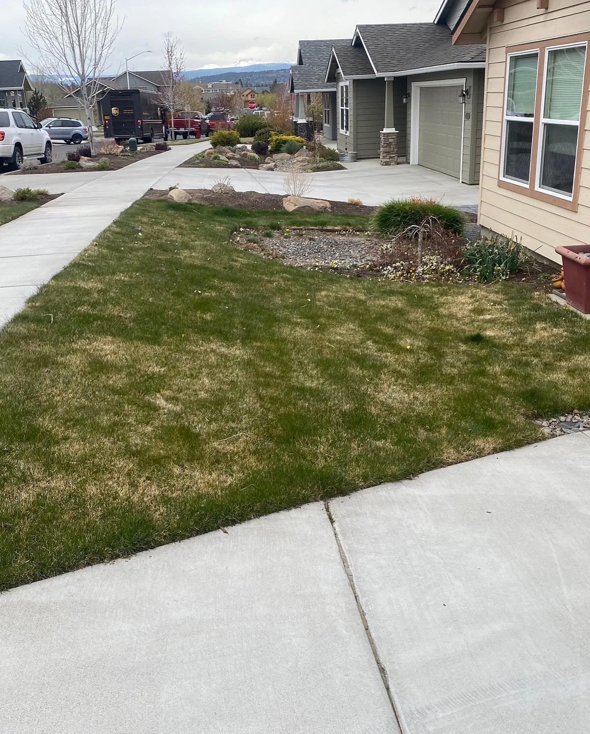 Backyard after — full view of completed landscape