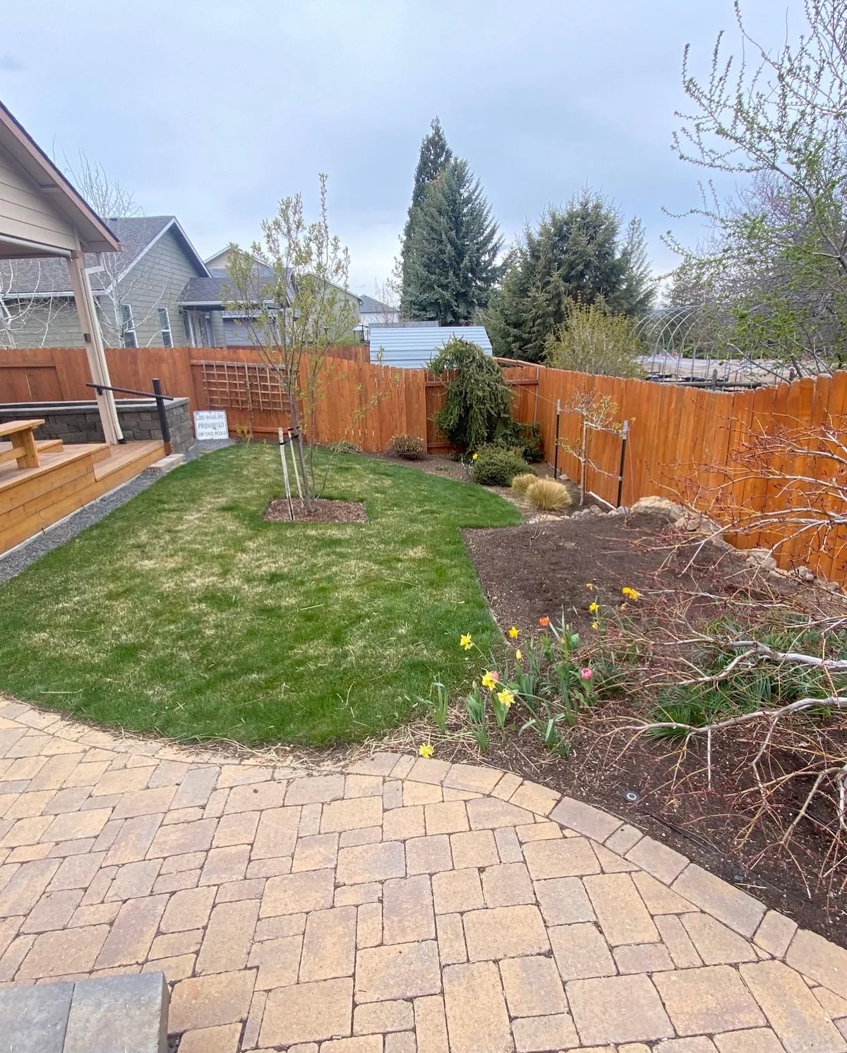Backyard before — bare patio and sparse plantings