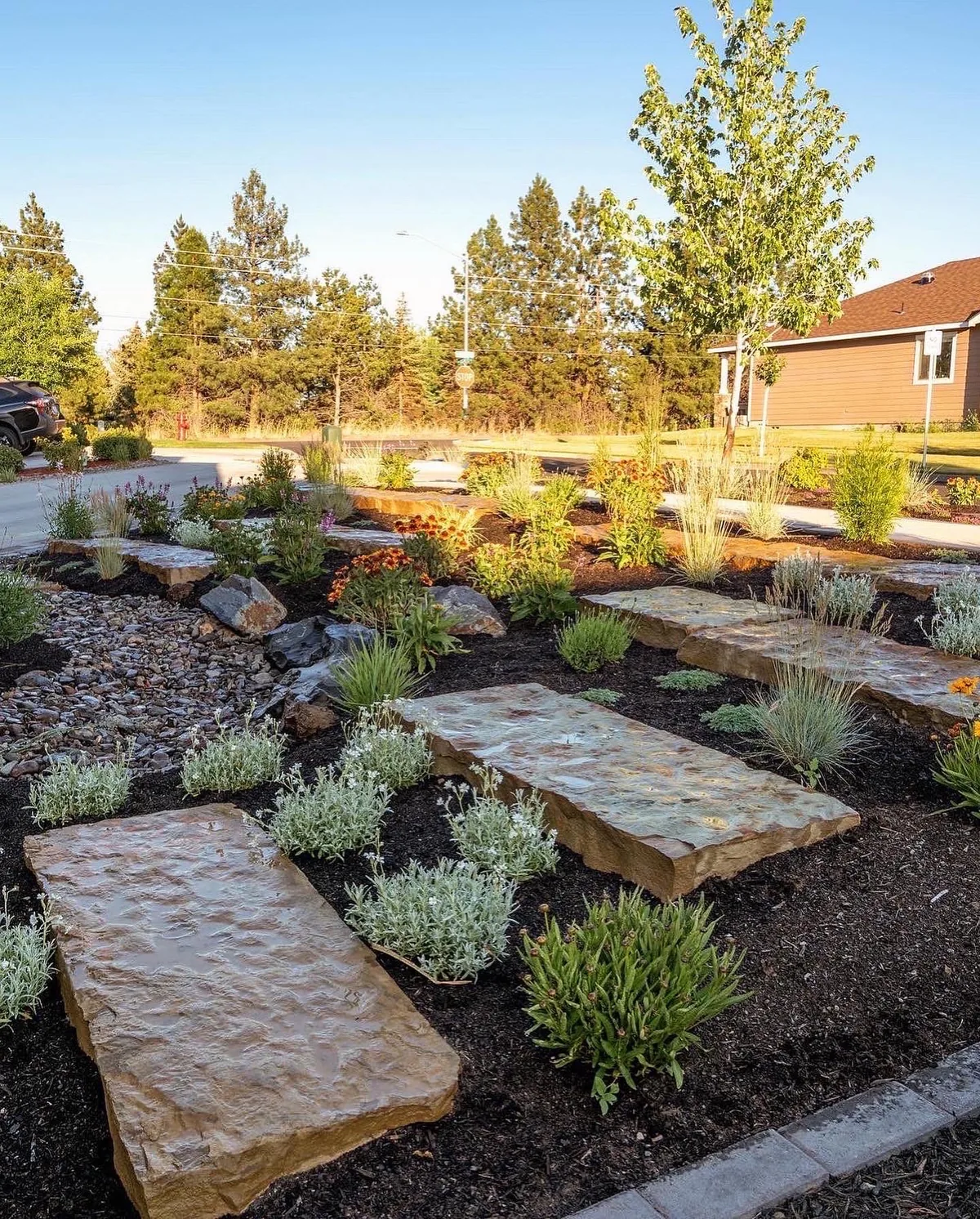Property before — backyard angle